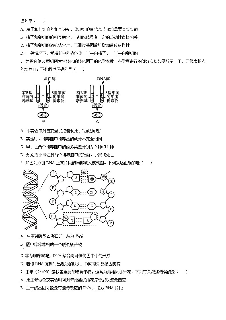 广西河池市2023-2024学年高一下学期7月期末考试 生物试题 Word版含答案02