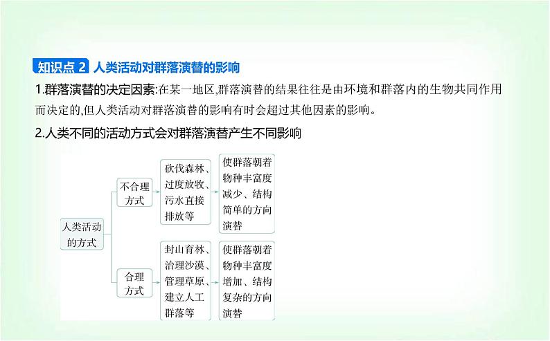 人教版高中生物选择性必修2生物与环境生物第2章群落及其演替第3节群落的演替课件第3页