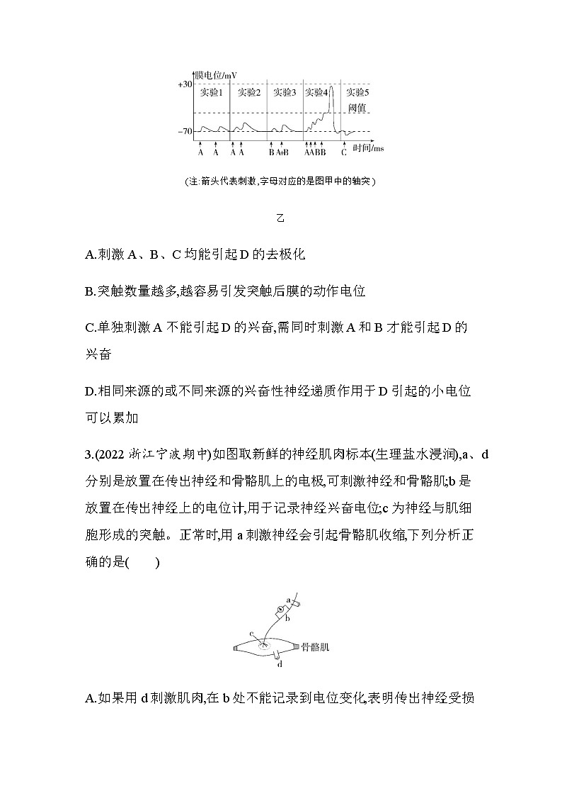 浙科版高中生物选择性必修1稳态与调节第2章神经调节题型整合练与神经调节有关的实验设计与分析含答案第2页