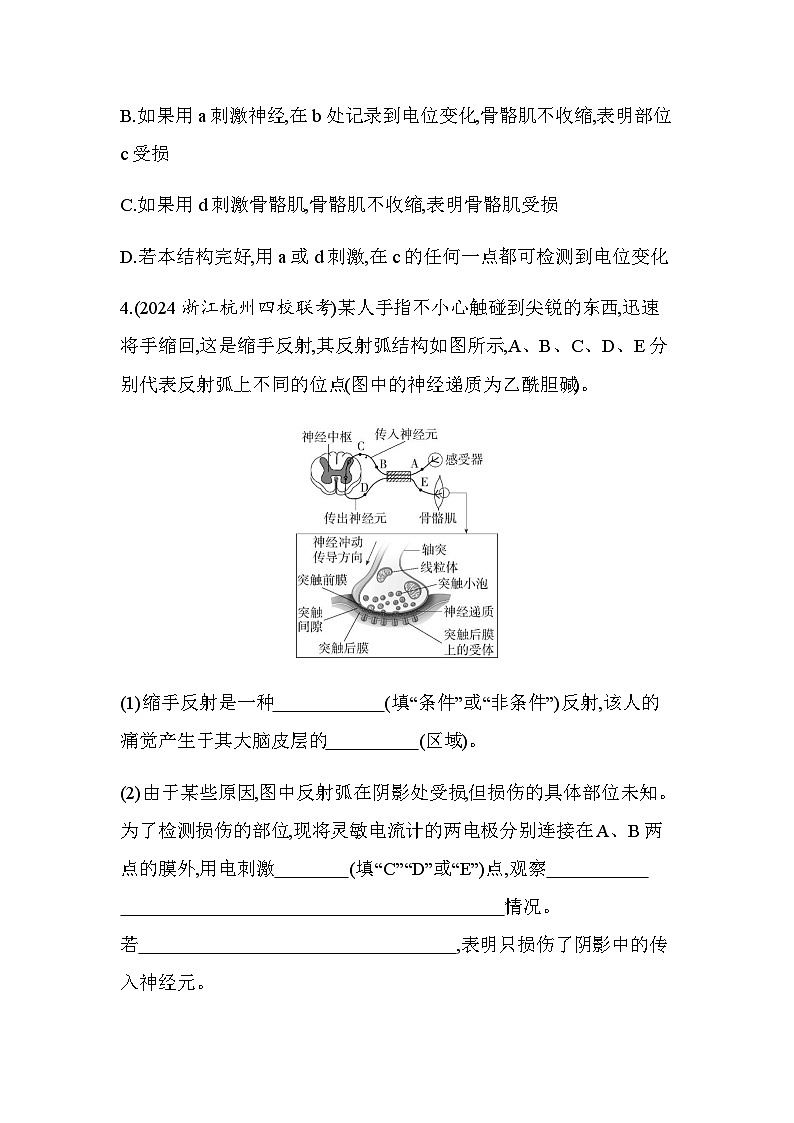 浙科版高中生物选择性必修1稳态与调节第2章神经调节题型整合练与神经调节有关的实验设计与分析含答案第3页