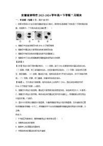 [生物][期末]安徽省蚌埠市2023-2024学年高一下学期7月期末试卷(解析版)