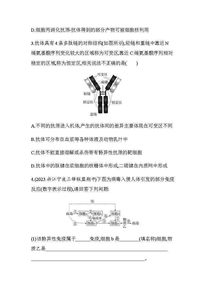 浙科版高中生物选择性必修1稳态与调节第4章免疫调节第3节第2课时体液免疫和免疫接种练习含答案第2页