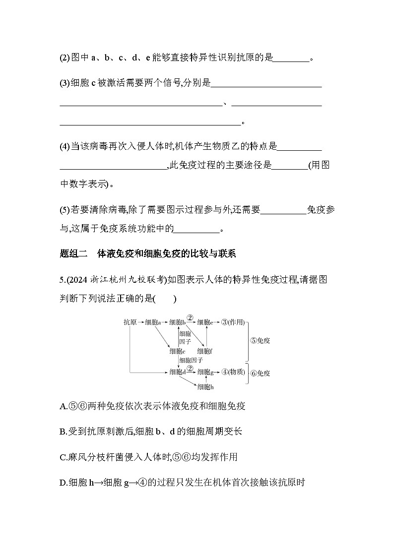 浙科版高中生物选择性必修1稳态与调节第4章免疫调节第3节第2课时体液免疫和免疫接种练习含答案第3页