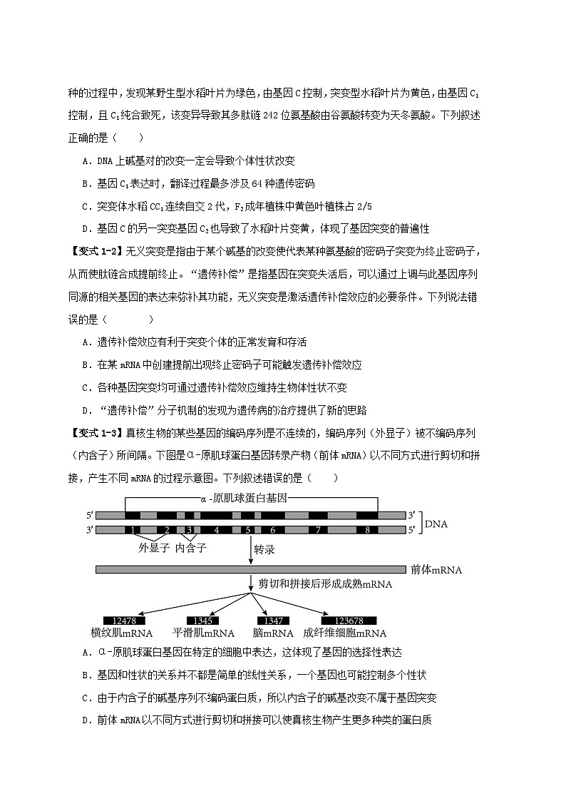 新高考专用备战2024年高考生物易错题精选易错点10变异与进化的“四个”易混点学生版第2页