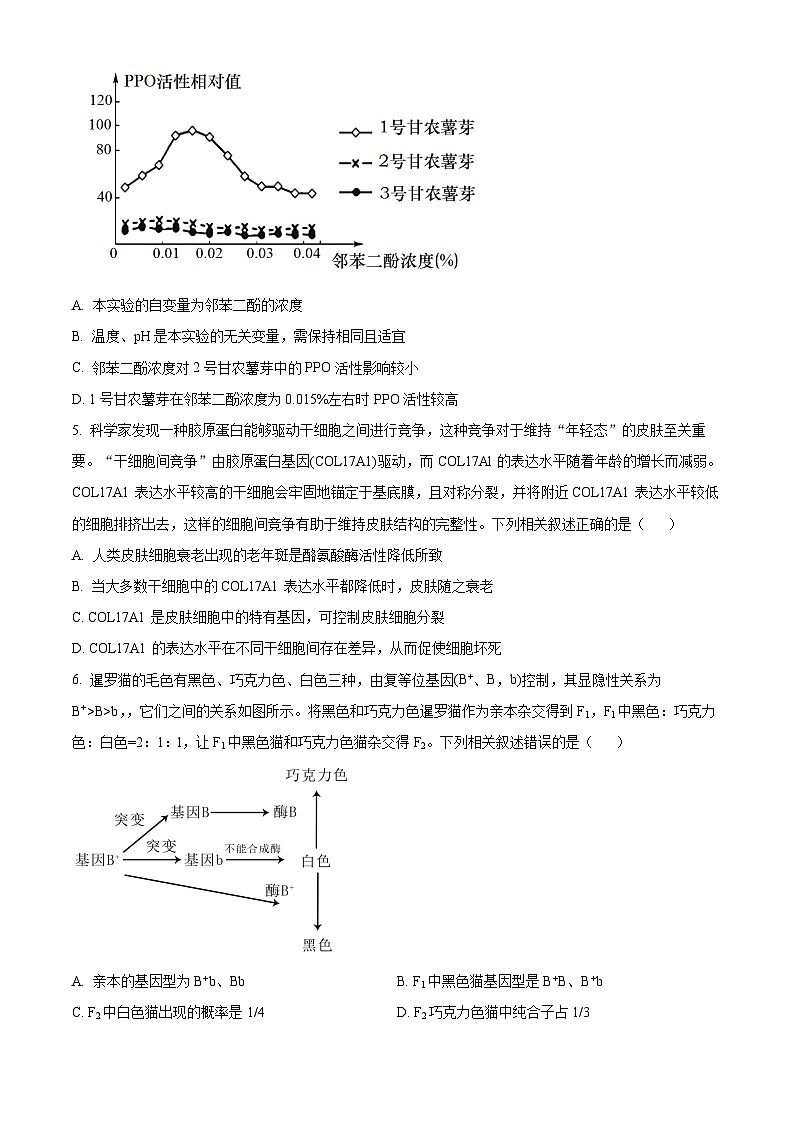 江西省部分学校2023-2024学年高一下学期6月期末考试生物试卷(Word版附解析)02