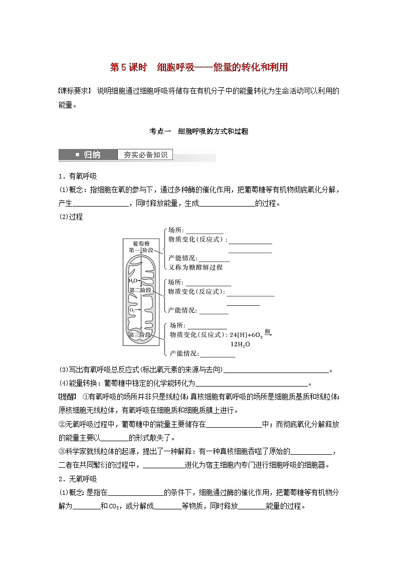 2024届高考生物一轮复习学案第三单元细胞的能量供应和利用第5课时细胞呼吸__能量的转化和利用苏教版第1页