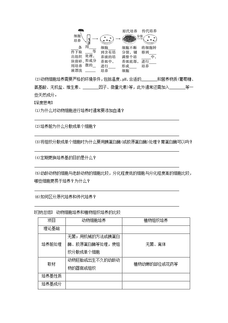 2024届高考生物一轮复习学案第十单元生物技术与工程第4课时动物细胞工程苏教版03