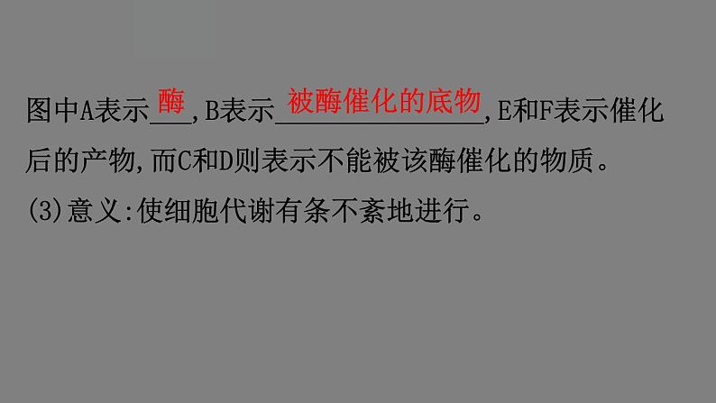5.1降低化学反应活化能的酶 第2课时 课件 高一上学期 人教版(2019)高中生物必修一05