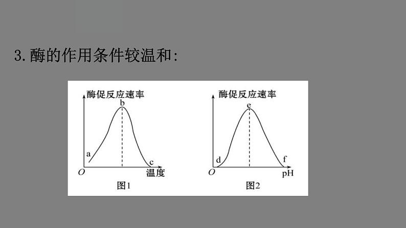 5.1降低化学反应活化能的酶 第2课时 课件 高一上学期 人教版(2019)高中生物必修一06