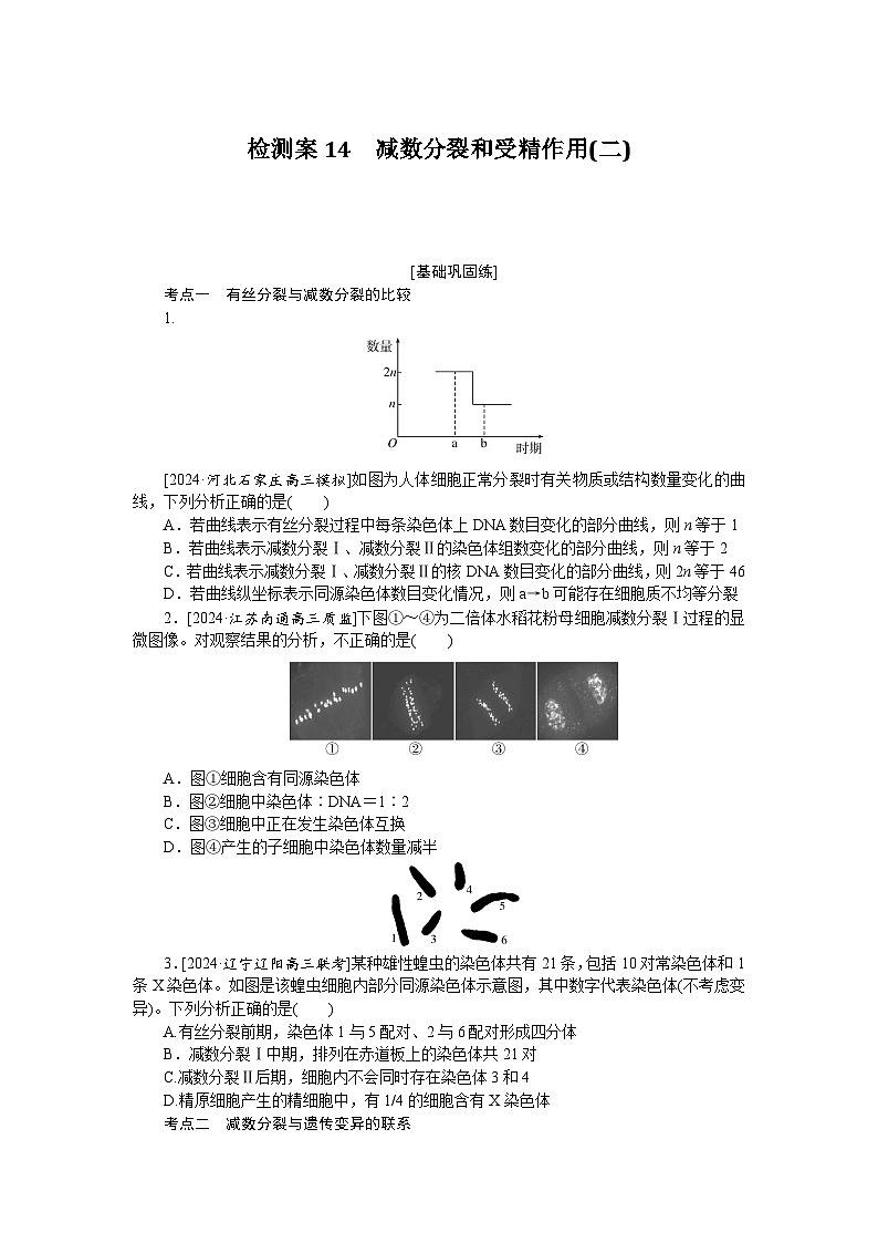 2025届高中生物全程复习构想检测课时训练14减数分裂和受精作用(二)(Word版附解析)第1页
