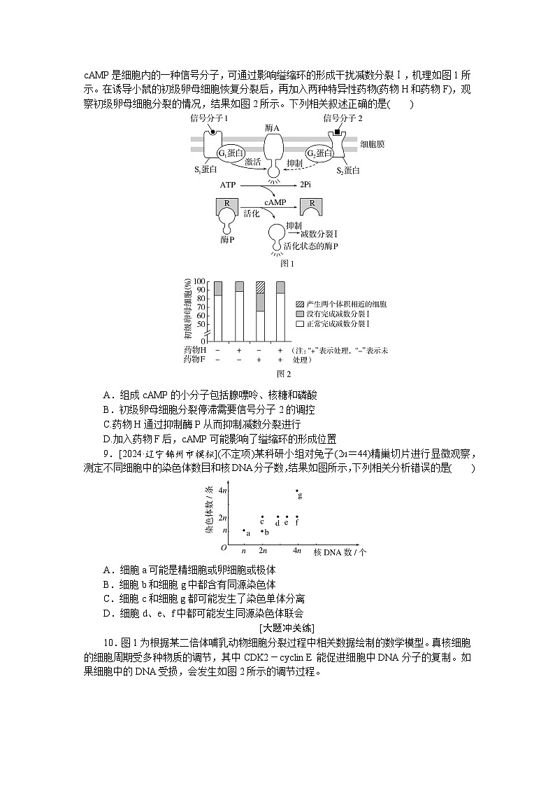 2025届高中生物全程复习构想检测课时训练14减数分裂和受精作用(二)(Word版附解析)第3页