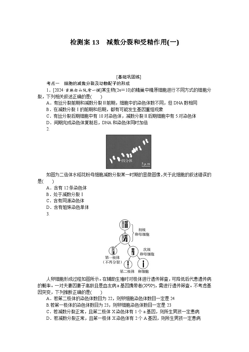 2025届高中生物全程复习构想检测课时训练13减数分裂和受精作用(一)(Word版附解析)01