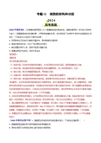 2024年高考真题和模拟题生物分类汇编（全国通用）专题02 细胞的结构和功能（解析版）
