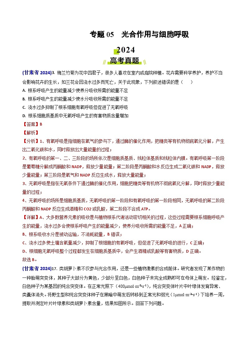 2024年高考真题和模拟题生物分类汇编(全国通用)专题05 光合作用与细胞呼吸(解析版)第1页