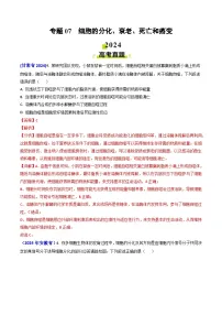 2024年高考真题和模拟题生物分类汇编(全国通用)专题07 细胞的分化、衰老、死亡和癌变(解析版)