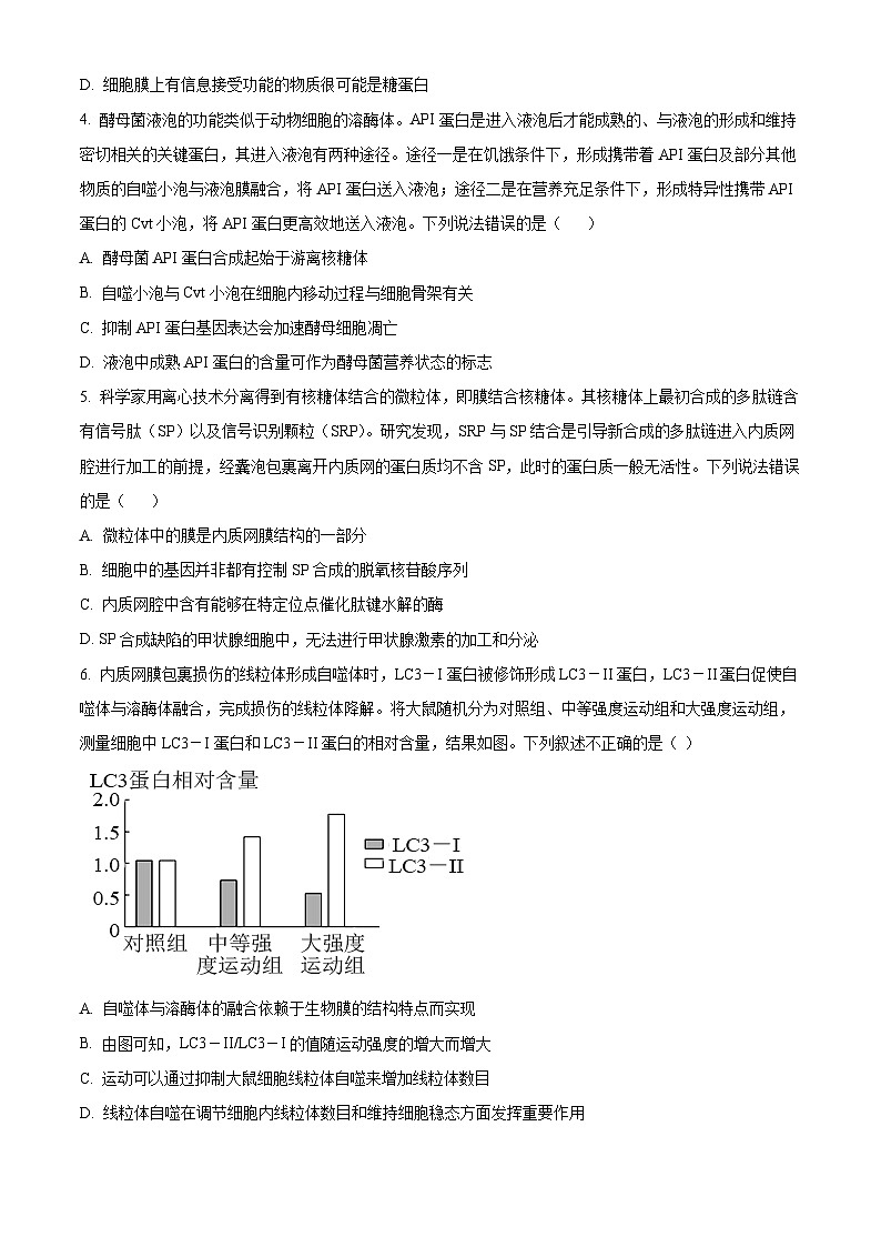 2024聊城高二下学期7月期末考试生物含解析02