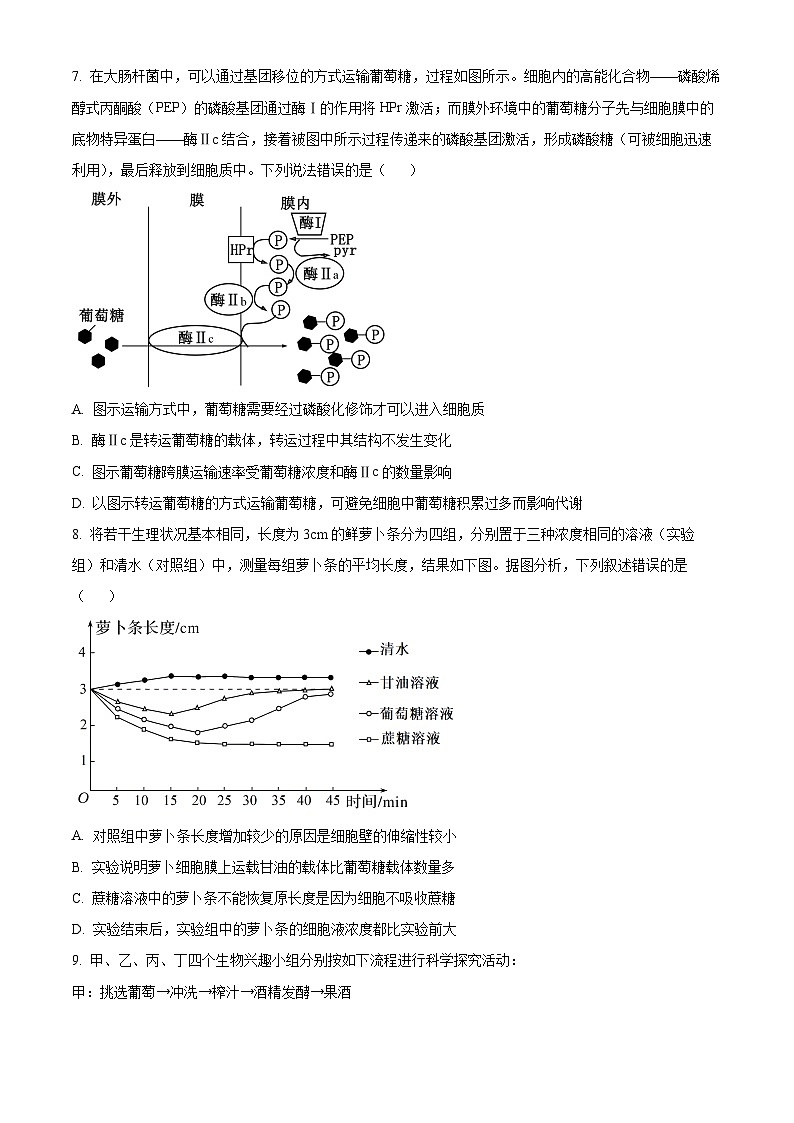 2024聊城高二下学期7月期末考试生物含解析03