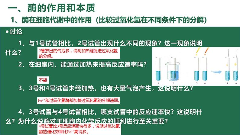 5.1降低化学反应活化能的酶 课件 高一上学期 人教版(2019)高中生物必修一第6页