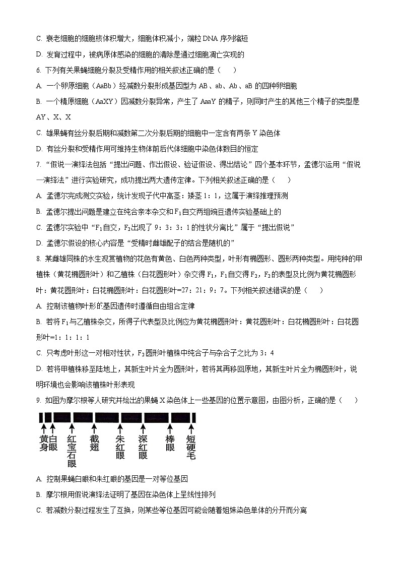 江西省上饶市2023-2024学年高一下学期期末考试生物试卷(Word版附解析)02