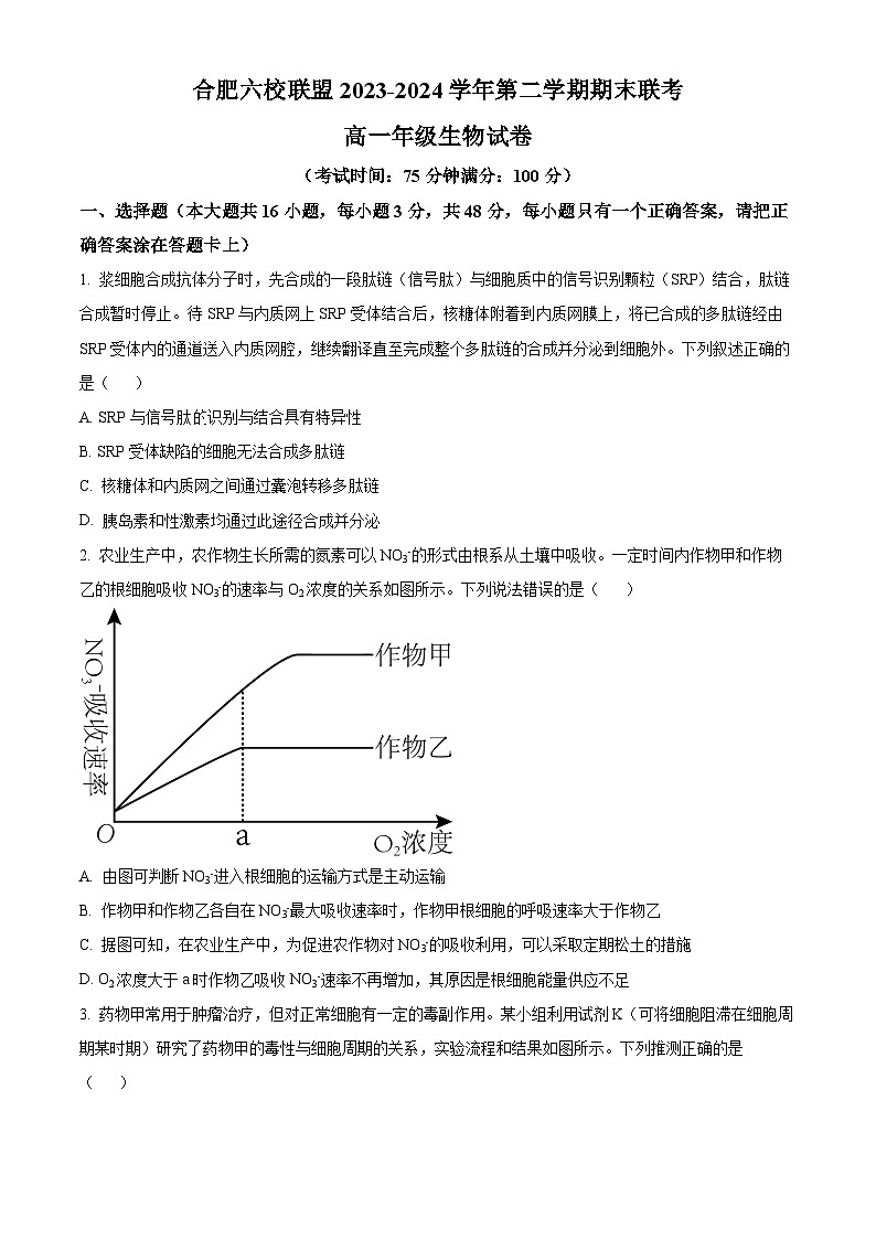 安徽省合肥市普通高中六校聯(lián)盟2023-2024學(xué)年高一下學(xué)期期末聯(lián)考生物試卷（Word版附解析）第1頁
