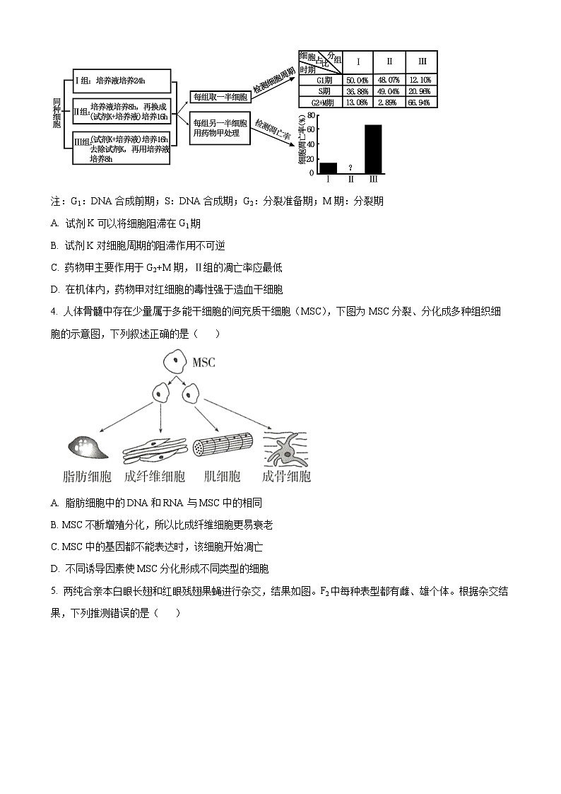 安徽省合肥市普通高中六校聯(lián)盟2023-2024學(xué)年高一下學(xué)期期末聯(lián)考生物試卷（Word版附解析）第2頁