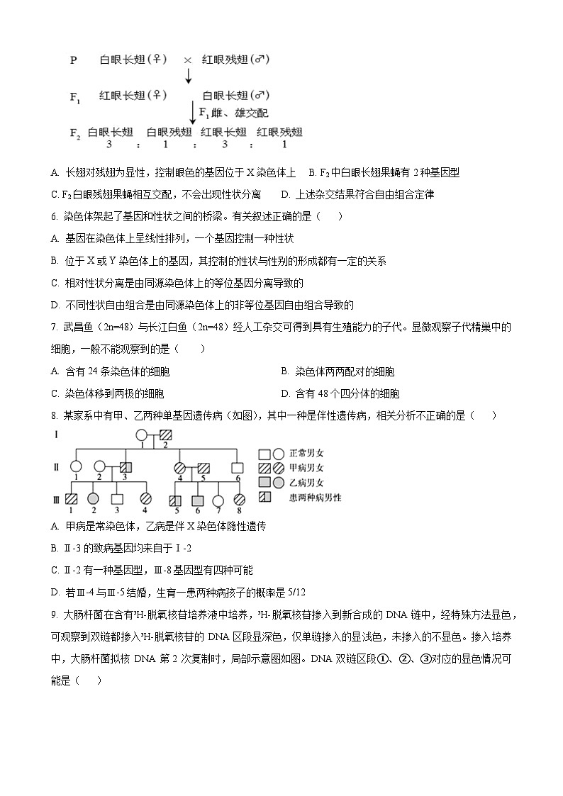 安徽省合肥市普通高中六校聯(lián)盟2023-2024學(xué)年高一下學(xué)期期末聯(lián)考生物試卷（Word版附解析）第3頁