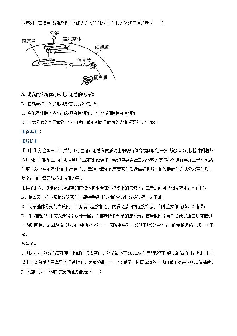 湖南省长沙市雅礼中学2024-2025学年高三上学期入学考试生物试卷(Word版附解析)02