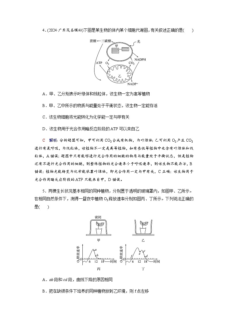 高考生物一轮复习课时练习(十一)含答案第3页