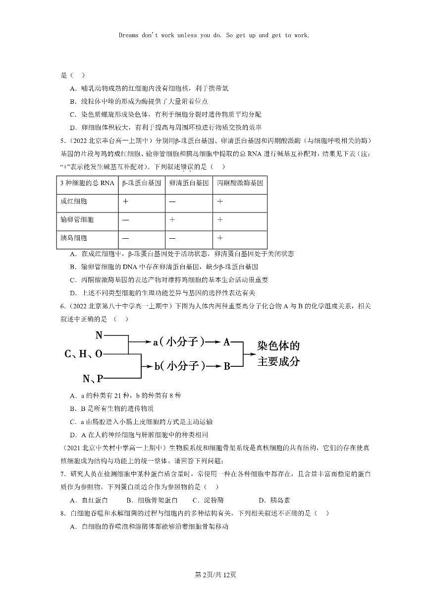 [生物]2021～2023北京重點(diǎn)校高一上學(xué)期期中生物真題分類匯編：細(xì)胞的生命歷程章節(jié)綜合第2頁