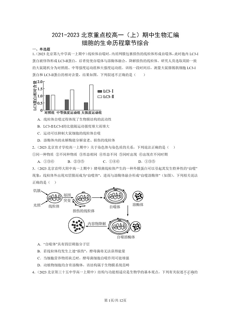 [生物]2021～2023北京重點(diǎn)校高一上學(xué)期期中生物真題分類匯編：細(xì)胞的生命歷程章節(jié)綜合第1頁