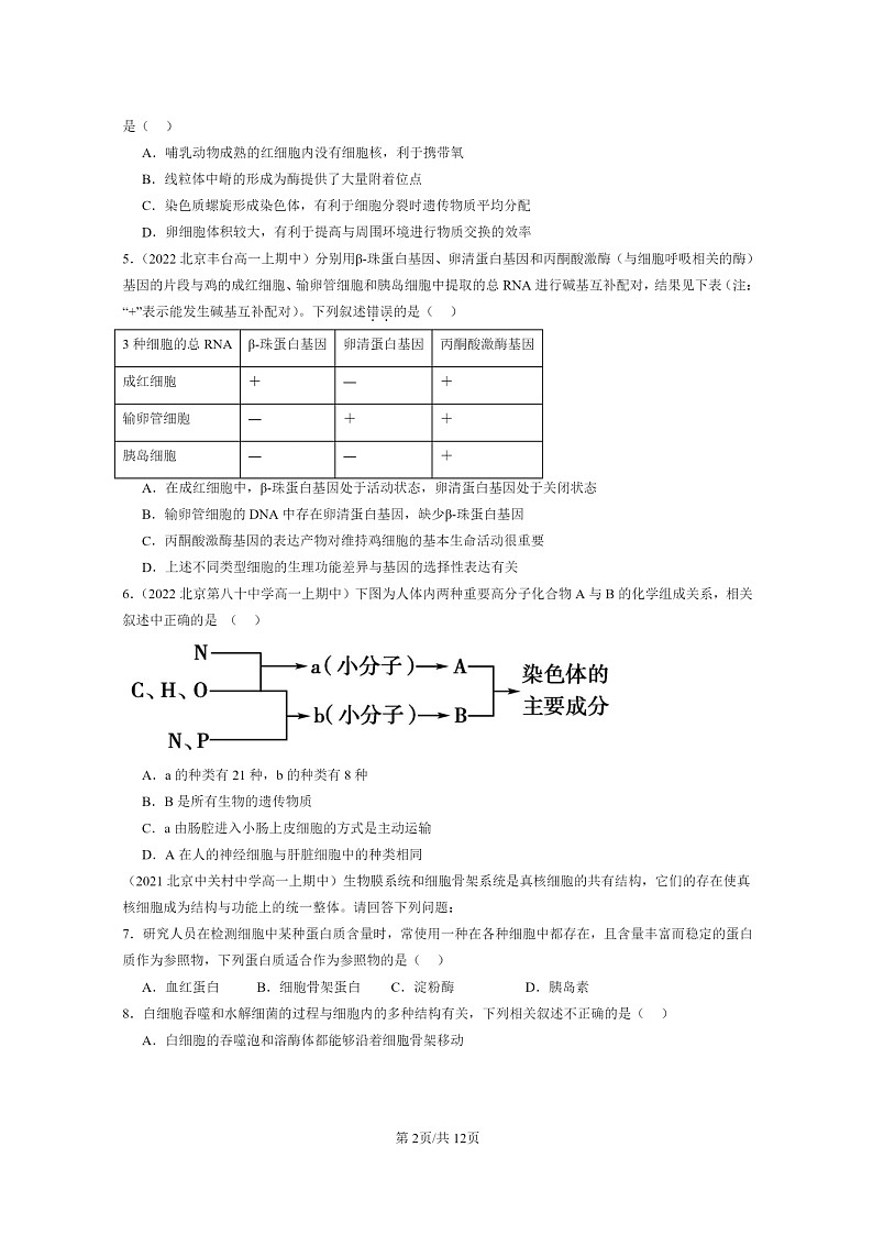 [生物]2021～2023北京重點(diǎn)校高一上學(xué)期期中生物真題分類匯編：細(xì)胞的生命歷程章節(jié)綜合第2頁