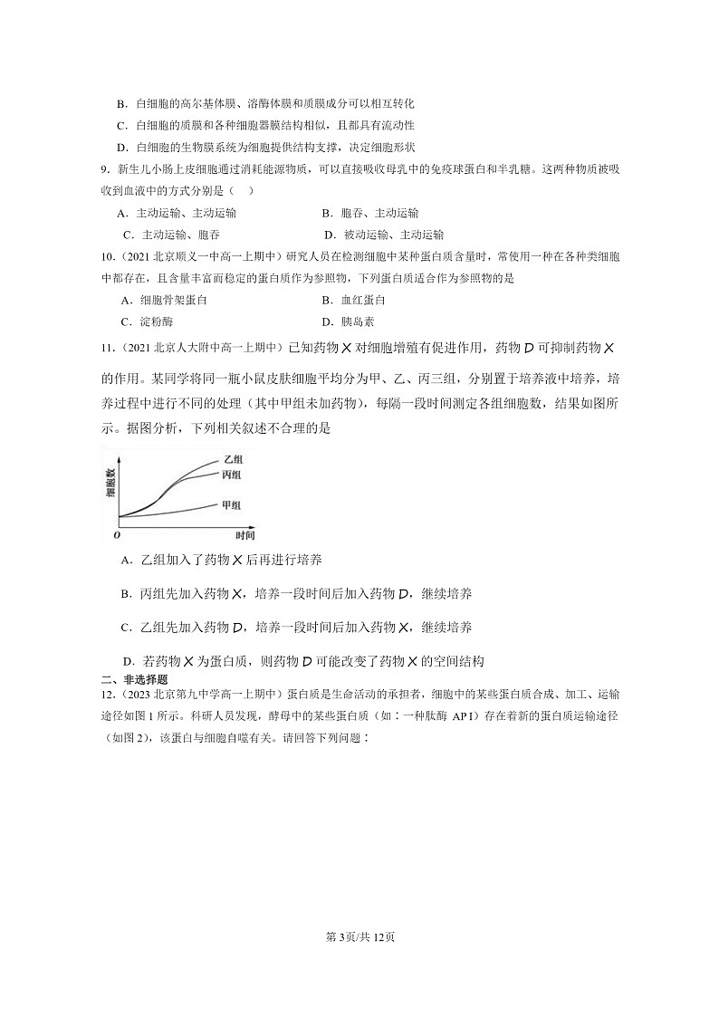 [生物]2021～2023北京重點(diǎn)校高一上學(xué)期期中生物真題分類匯編：細(xì)胞的生命歷程章節(jié)綜合第3頁