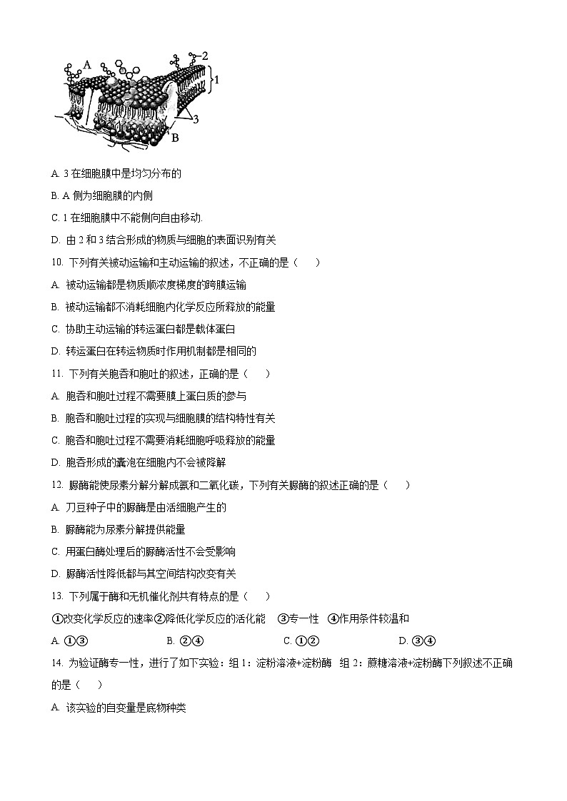 2024大理白族自治州高一下学期7月期末考试生物含解析第3页
