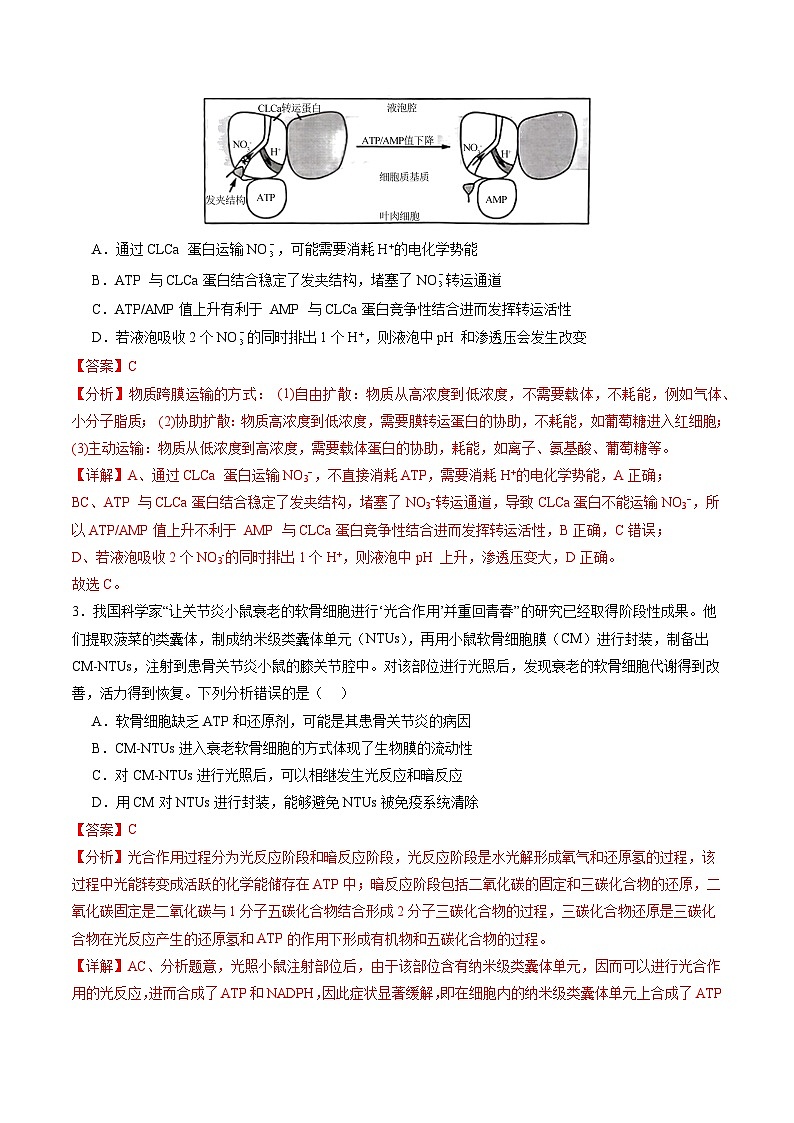 生物(山东专用)(解析版)第2页