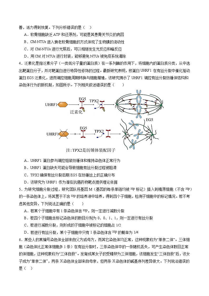 生物(山东专用)(考试版)第2页