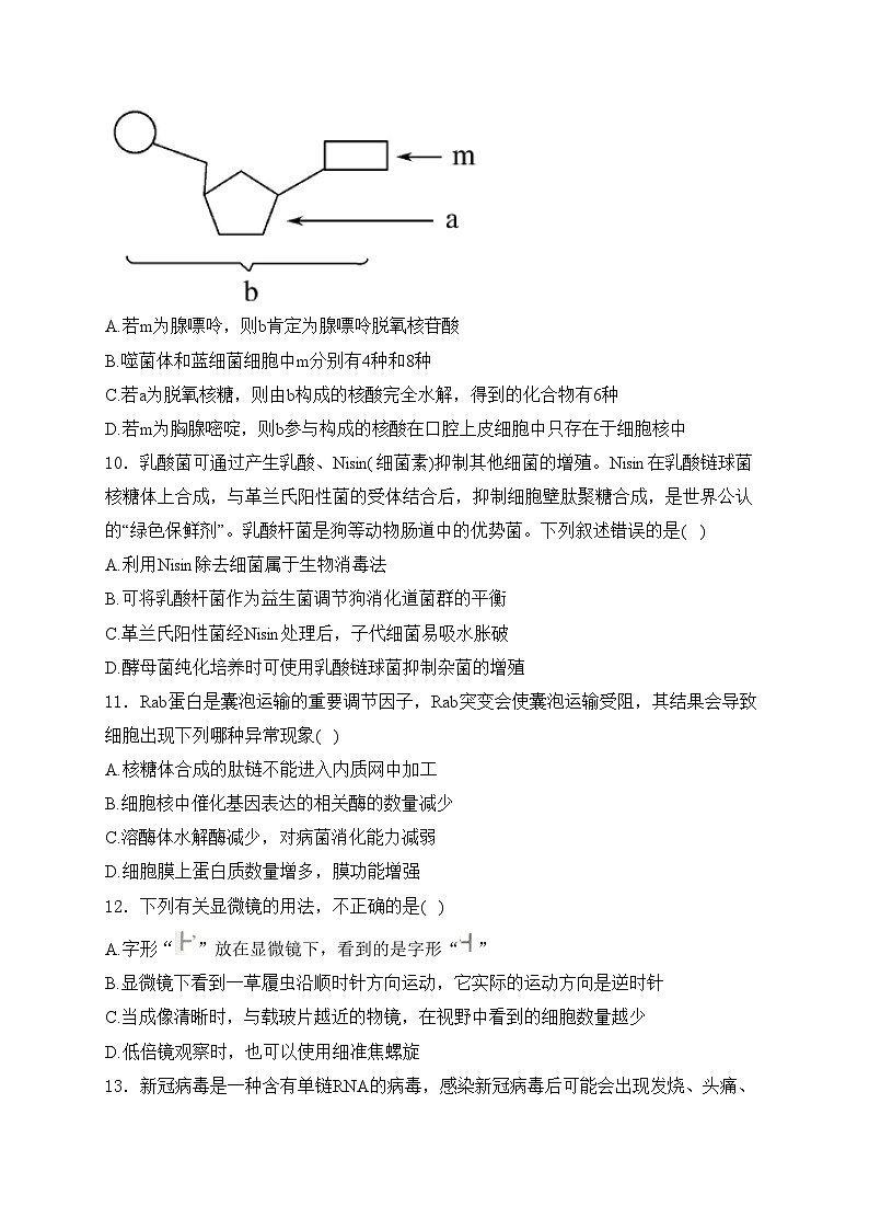 黑龙江省佳木斯市三校2023-2024学年高二下学期7月期末联考生物试卷(含答案)第3页