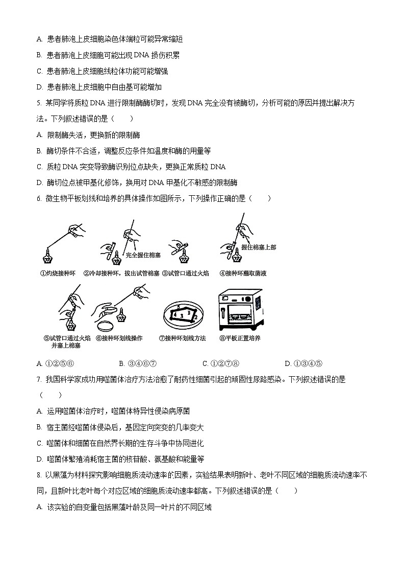 2024年新高考湖南卷生物高考真题解析(原卷+解析)02