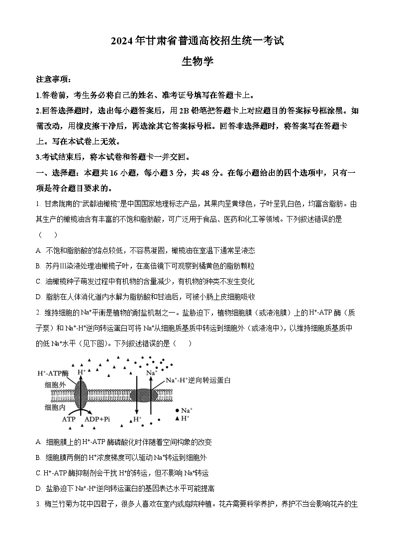 2024年新高考甘肃卷生物高考真题解析（原卷+解析）