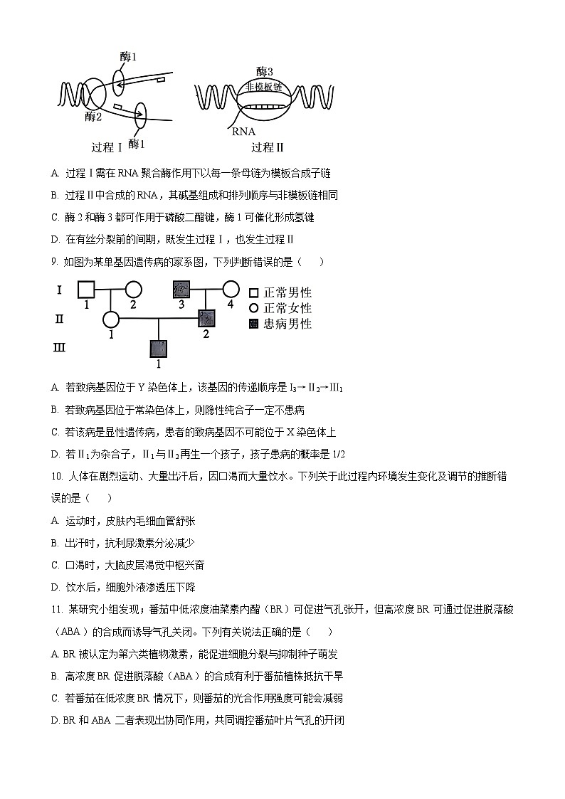 云南省玉溪师范学院附属中学2024-2025学年高三上学期开学检测生物试卷(原卷版)第3页