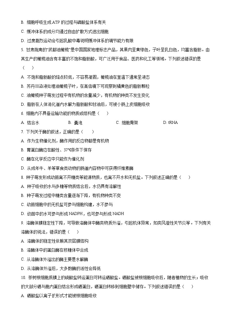 湖南省邵阳市大祥区邵阳市第二中学2024-2025学年高三上学期8月月考生物试题(原卷版)第2页