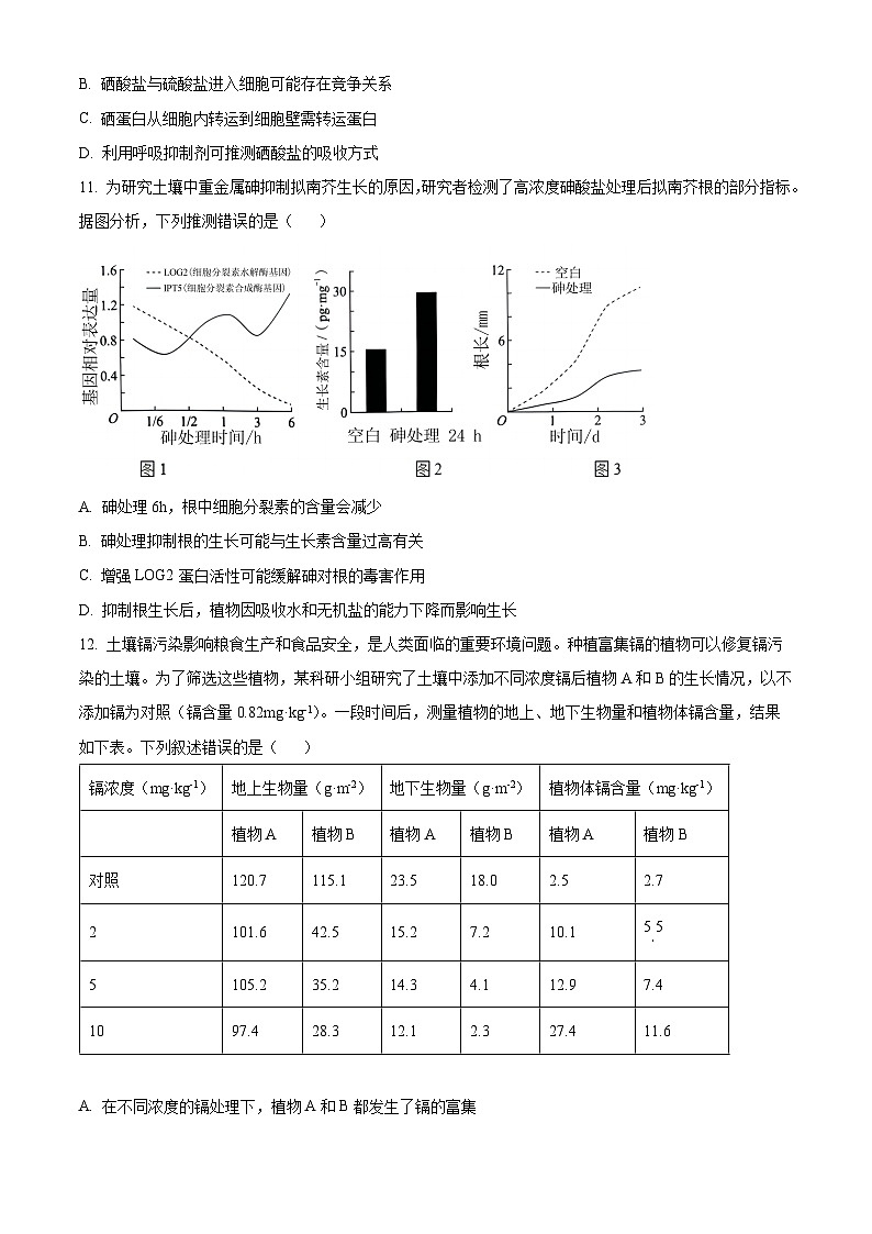 湖南省邵阳市大祥区邵阳市第二中学2024-2025学年高三上学期8月月考生物试题(原卷版)第3页