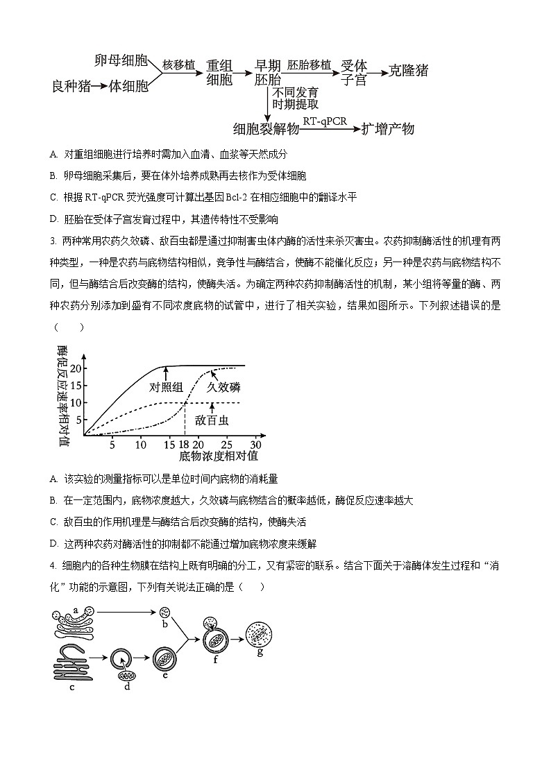 河南省许昌市魏都区许昌高级中学2024-2025学年高三上学期8月月考生物试题(原卷版)第2页