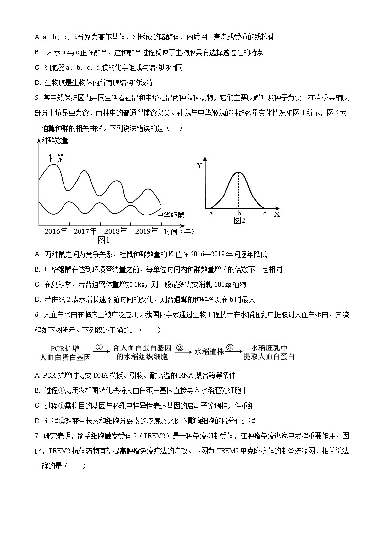 河南省许昌市魏都区许昌高级中学2024-2025学年高三上学期8月月考生物试题(原卷版)第3页