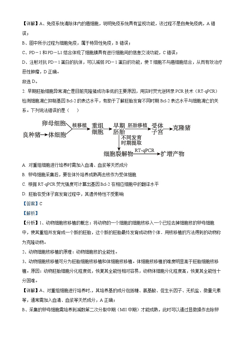 河南省许昌市魏都区许昌高级中学2024-2025学年高三上学期8月月考生物试题(解析版)02