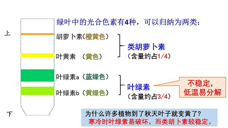 第09讲 捕获光能的色素和光合作用的过程-备战2025年高考生物一轮复习精优课件第7页