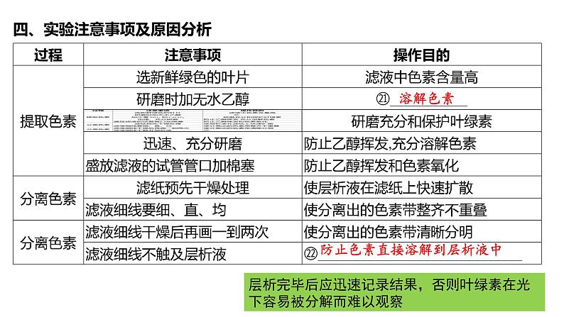 第09讲 捕获光能的色素和光合作用的过程-备战2025年高考生物一轮复习精优课件第8页