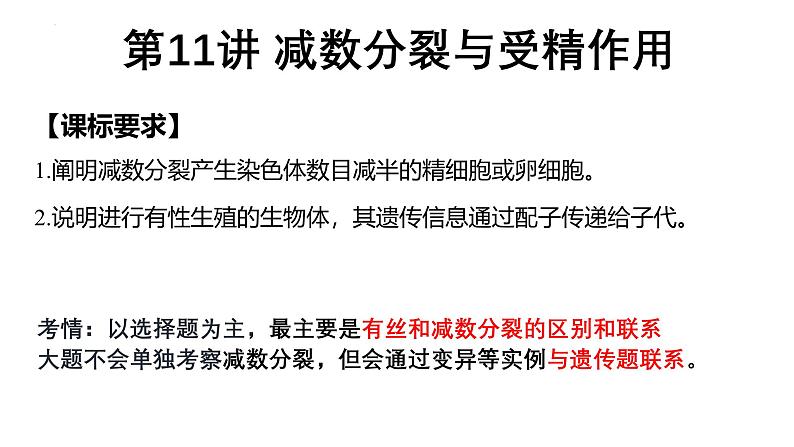 第11讲  减数分裂与受精作用-备战2025年高考生物一轮复习精优课件第1页