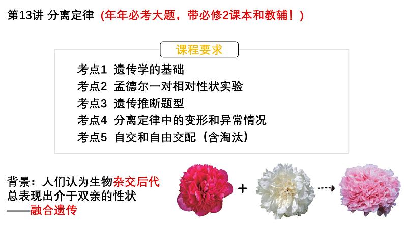 第13讲 基因的分离定律-备战2025年高考生物一轮复习精优课件01