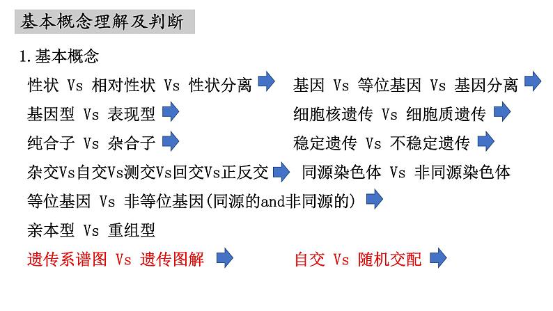 第13讲 基因的分离定律-备战2025年高考生物一轮复习精优课件03