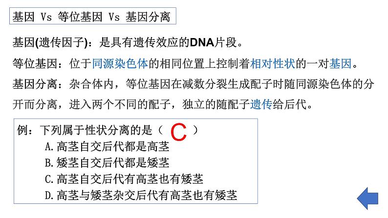 第13讲 基因的分离定律-备战2025年高考生物一轮复习精优课件06